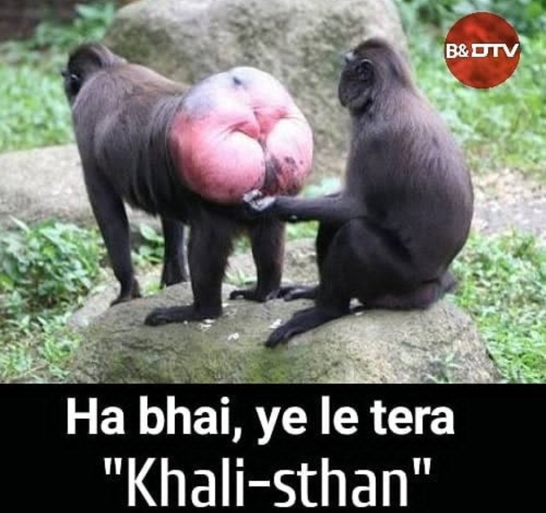 RUIJERD GREYRAT🇮🇳 tweet media