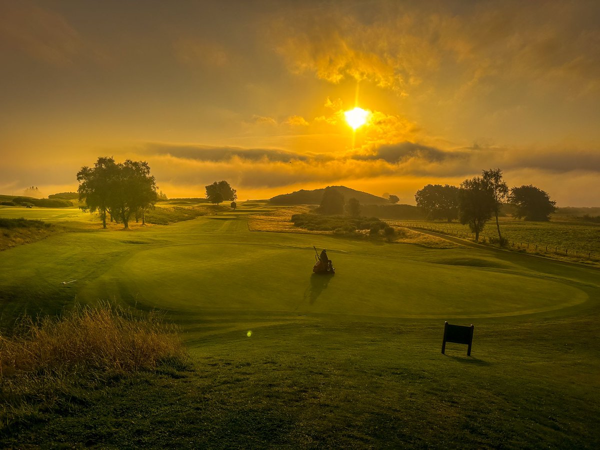 Stephen Lindsay tweet media