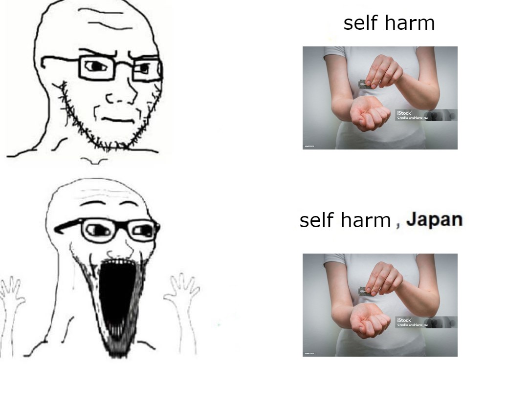 onlineluvrgirl's tweet photo. every time people talk about japanese shtwt specifically it makes me think of this https://t.co/BWa0H3XWql