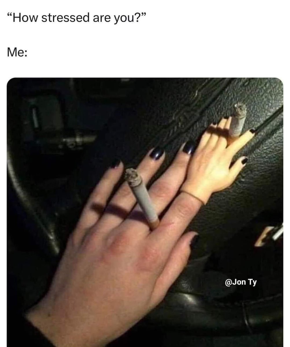 Lina (@d0rkph0enix) on Twitter photo 