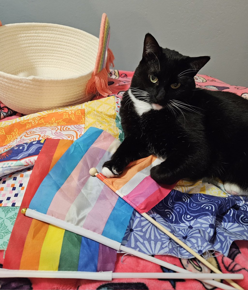 I will bite anyone who thinks my parents shouldn't have civil rights and protections. If you got a problem with that, get hecked. You stale catgrass 😤