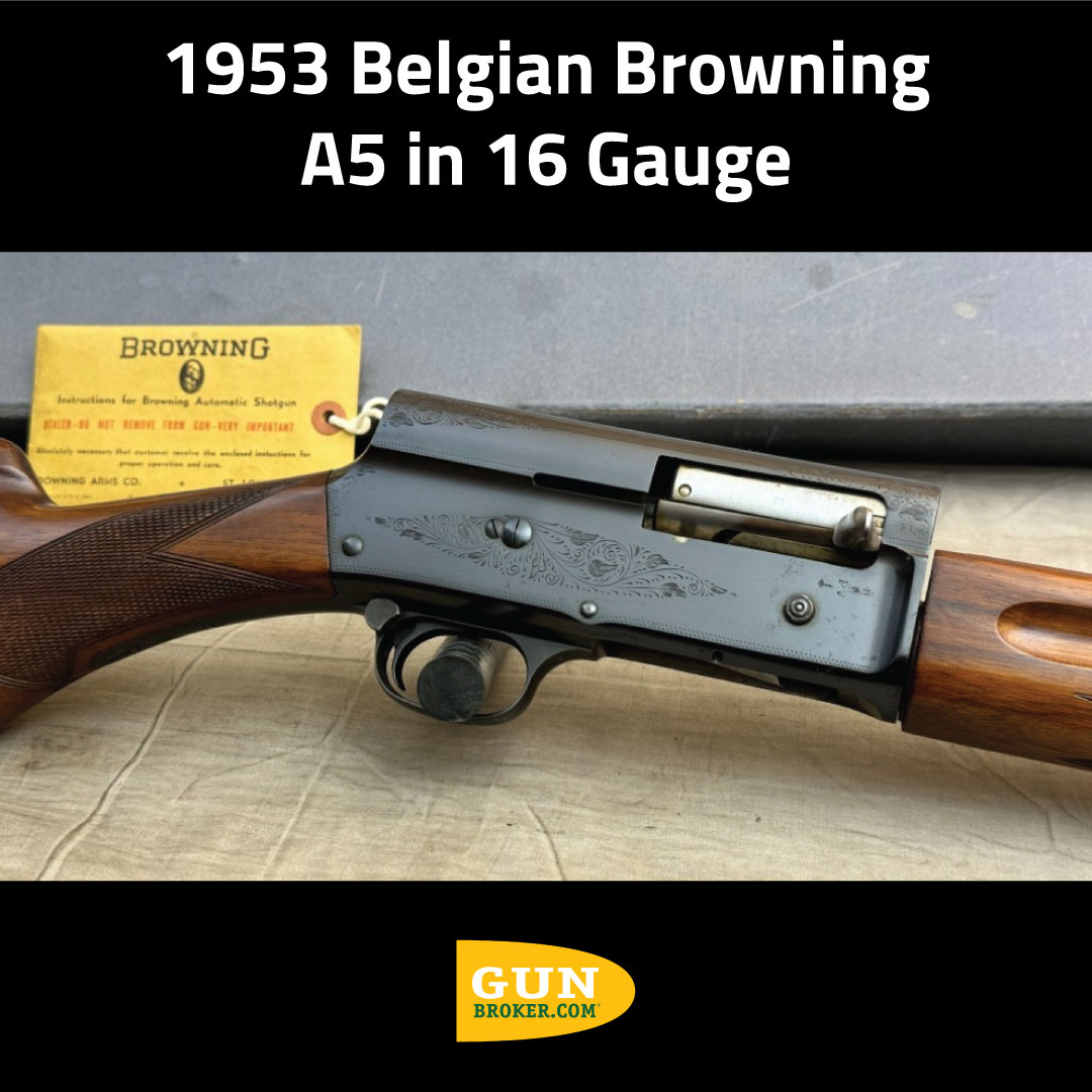 GunBroker's tweet photo. What do you think of this 1953 Belgian Browning A5 in 16 Gauge for #ThrowbackThursday?
See more pictures here: https://t.co/JWiO9jYU67
#Browning #browningA5 #16ga https://t.co/bCj0DKEFZ2