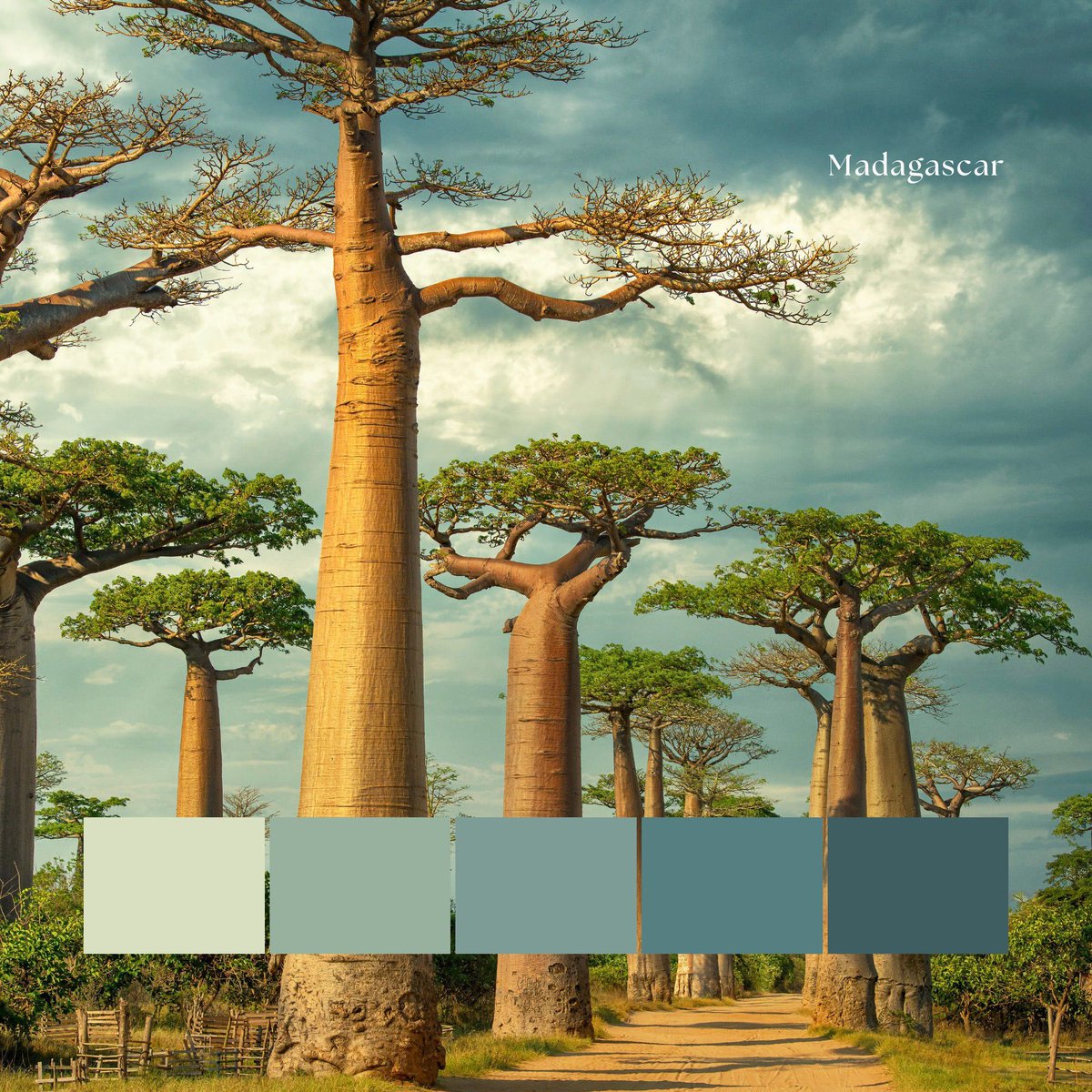 Would you explore the lush forests and stunning coastlines of Madagascar if you could? 🌴✨ Customize your #Madagascar inspired world map now 📌 buff.ly/4fdvFbM #worldmap #customgift