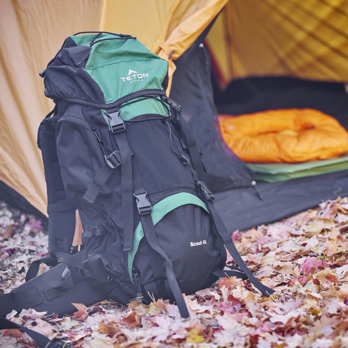 tetongear's tweet photo. Say farewell to Fall with one last trip (maybe with your furry friend ;)⁠
⁠
#teton #tetongear #falladventures #farewellfall #lasttrip #autumnvibes #fallgetaway #explorefall #fallcamping #natureescape #hitthetrail #fallcolors #adventuretime #outdoorfun #wanderlust #campingseason https://t.co/71iX0BvfU5