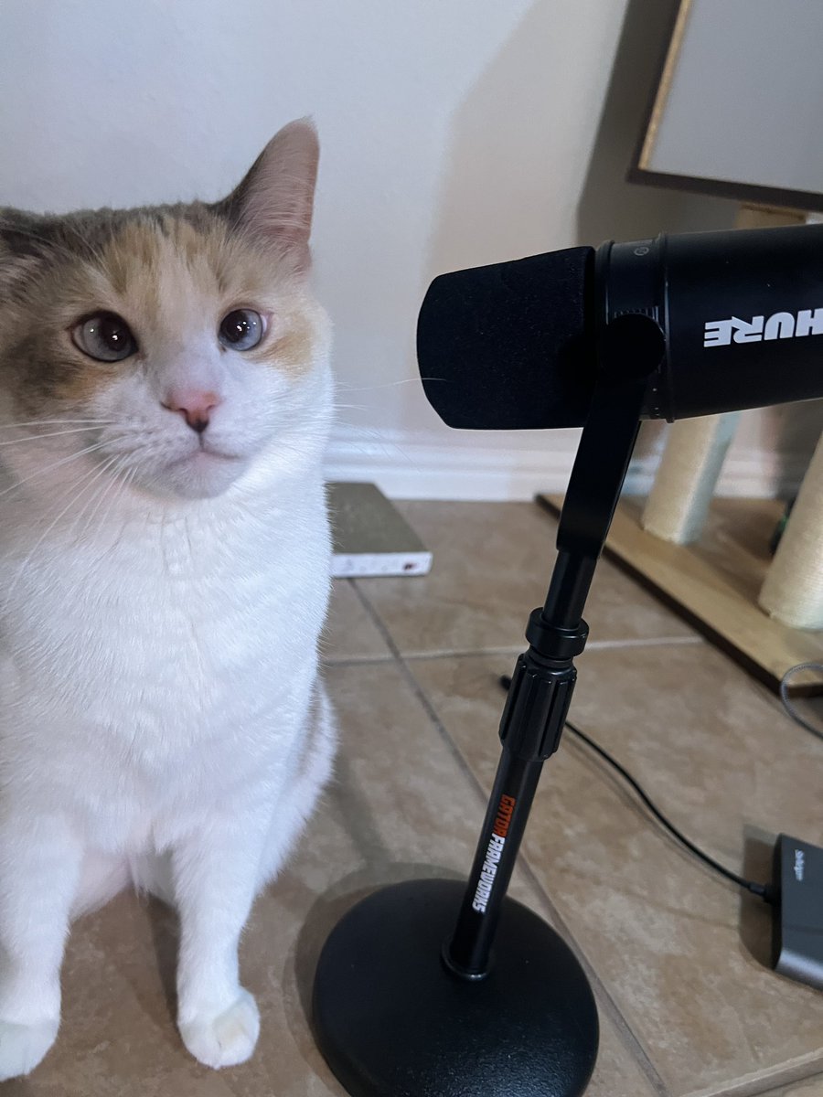 fatfatpankocat's tweet photo. She has no commentary https://t.co/CsgpnUZKOu