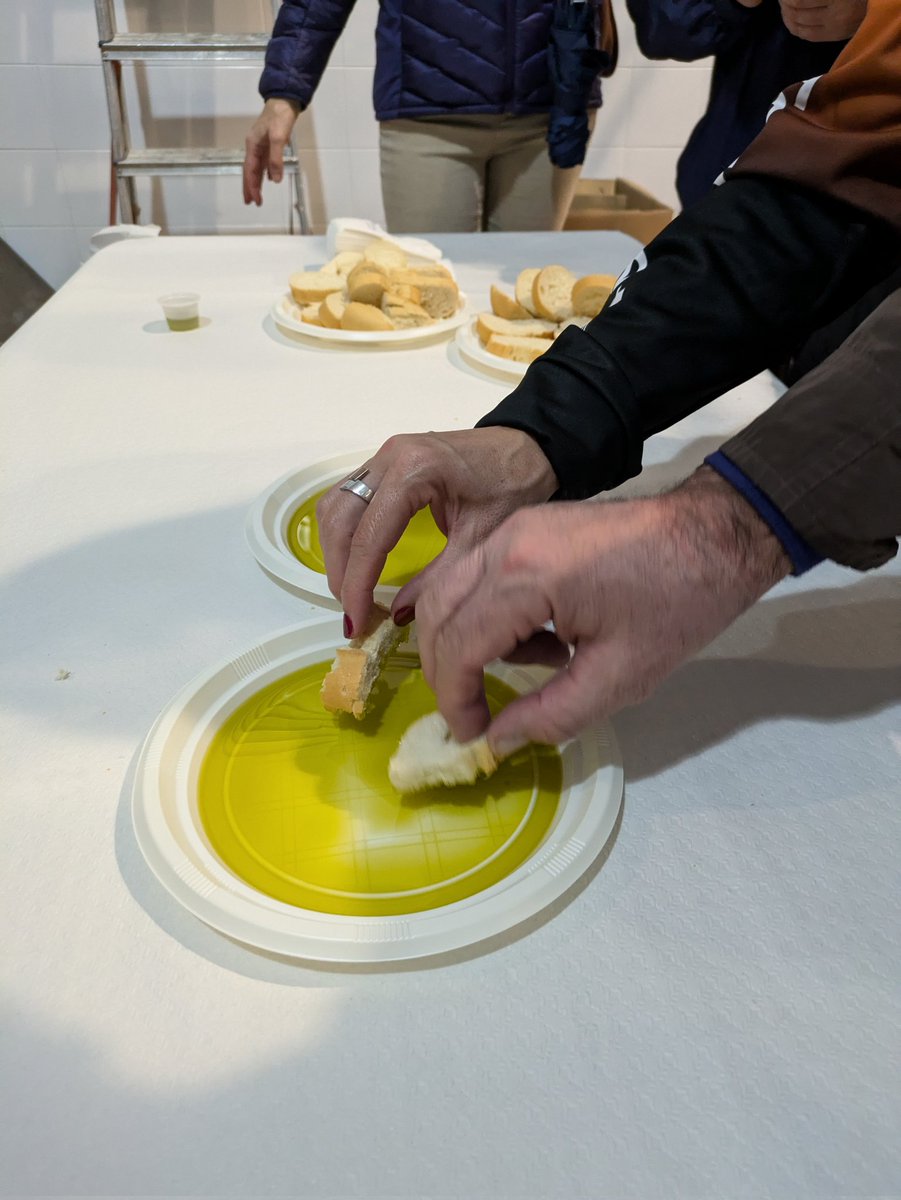 Las almazaras de los pueblos por lo que discurre la Vía Verde del Aceite ya están produciendo oro liquido