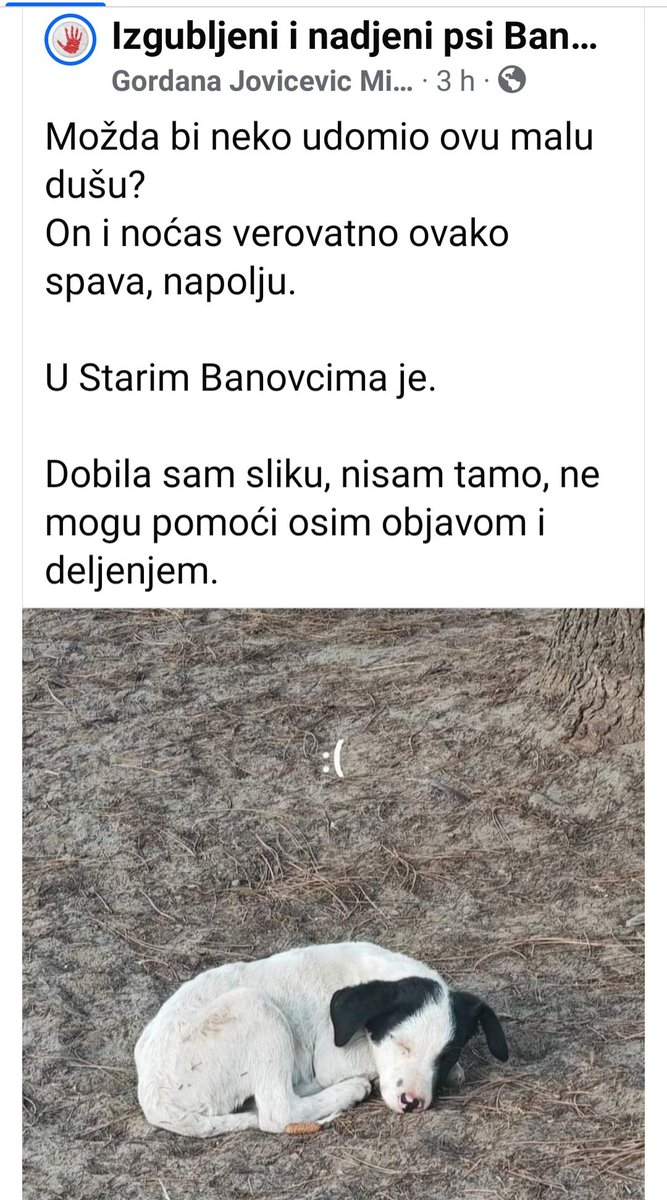 Aj ljubitelji atraktivnih pasa, da vas vidim sad... Sam i nezaštićen... spava napolju, a noći su sve hladnije 🥺
U Starim Banovcima je... Pomoć? 💙💟
Za više info moguć kontakt na FB-u je Gordana Jovićević Milošević
HITNO JE ❗❗❗