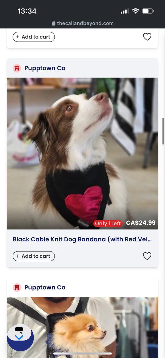 TheCallNBeyond's tweet photo. Looking for pet supplies ? 

Hey all good!! We got you covered! 

At The Call and Beyond, many of our frontline workers have deep bonds and affection towards their pets and have created products to give back to our communities for our furry friends!! 

https://t.co/Q7BZb16qDE. https://t.co/izlVJef63r