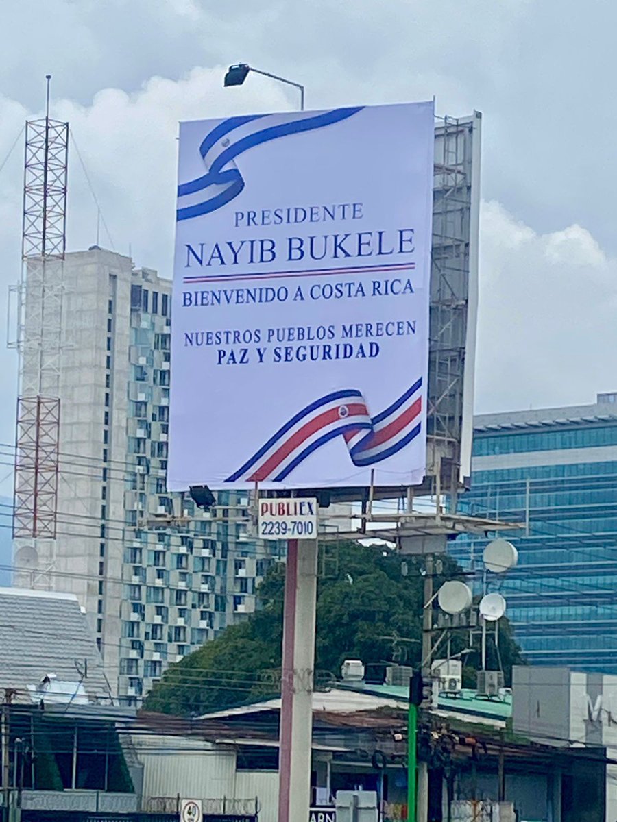 Que linda la pre campaña