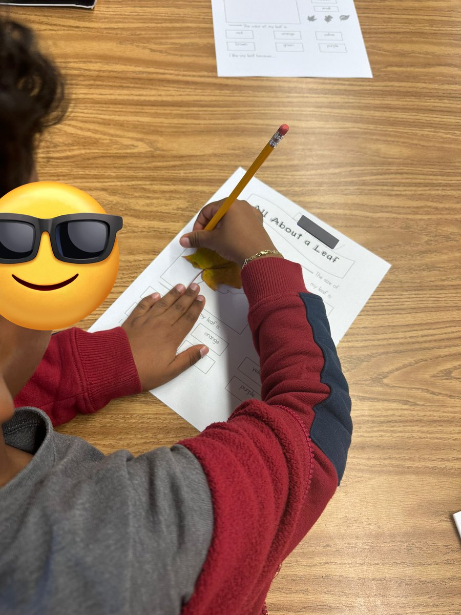 Alyssa Quagliata tweet media