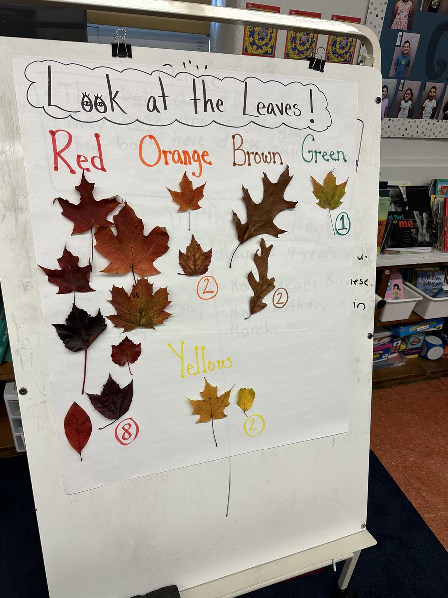 Alyssa Quagliata tweet media