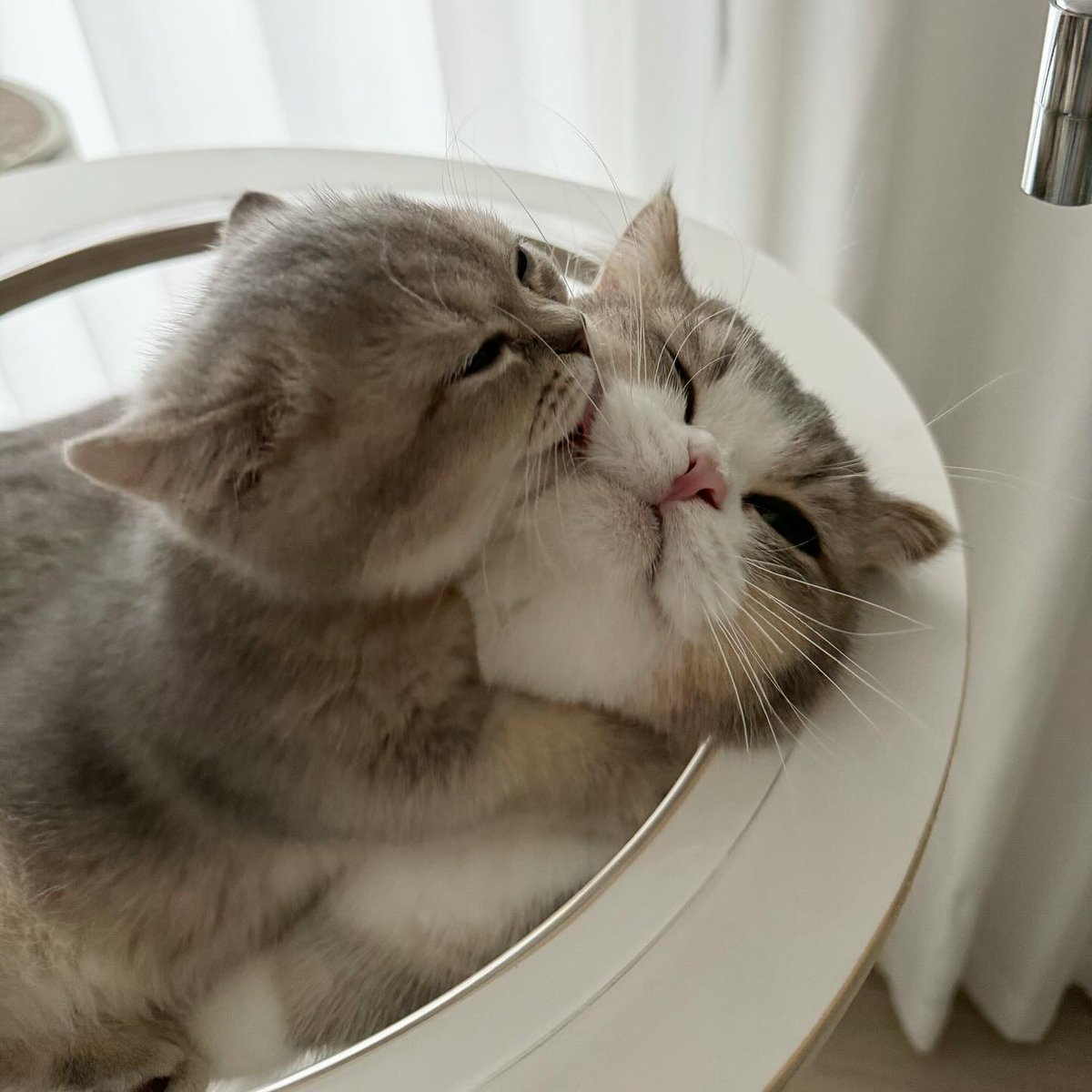 TheCatsX's tweet photo. Love https://t.co/CHnYyndqOZ