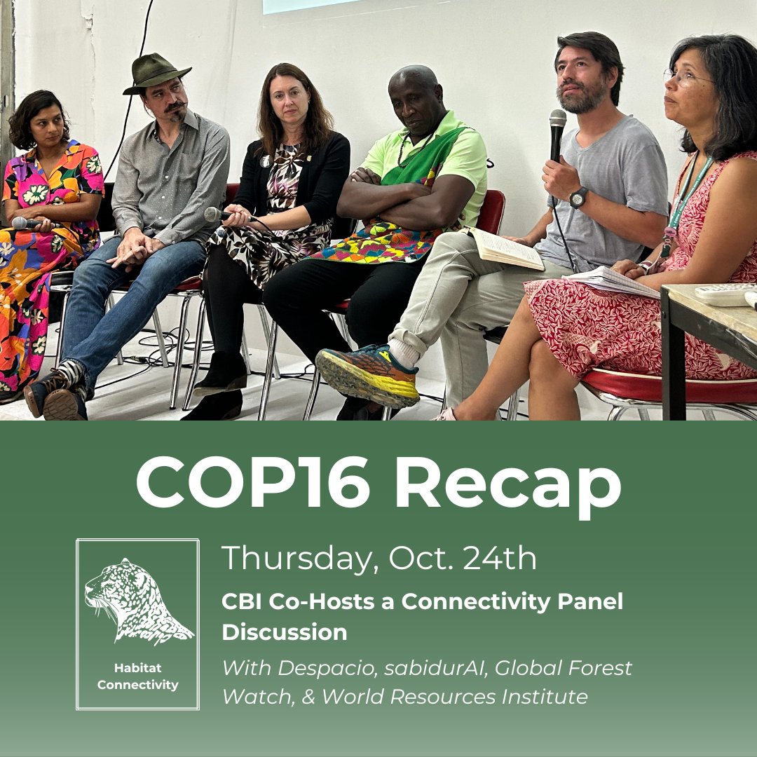 Conservation Biology Institute tweet media