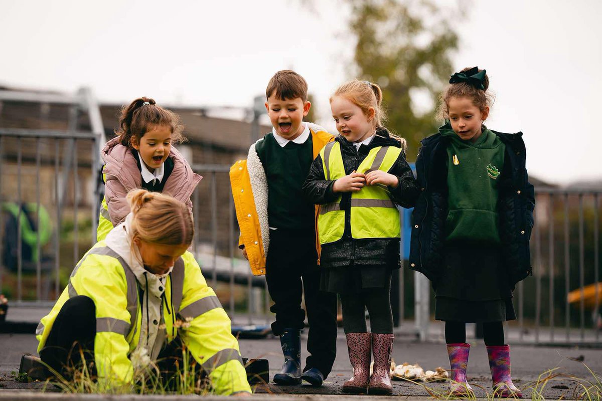 Sofie Armitage tweet media