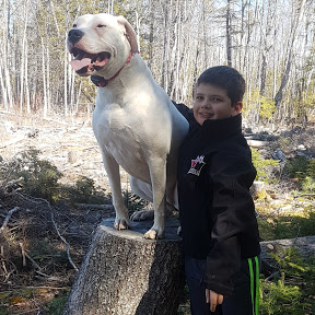 Sarah Butland (@sarahbutland_co) on Twitter photo #IReadCanadian #BookReviewer and young entrepreneur <a href="/WilliesBook/">WildWilliesBookReviews</a> is so very close to 400 subscribers, can you help get him to such a milestone? #IReadBooks #AuthorsSupportingAuthors #ShamelessSelfPromo #NovaScotia youtube.com/@WildWilliesBo… #IReadCanadian #BookReviewer and young entrepreneur <a href="/WilliesBook/">WildWilliesBookReviews</a> is so very close to 400 subscribers, can you help get him to such a milestone? #IReadBooks #AuthorsSupportingAuthors #ShamelessSelfPromo #NovaScotia youtube.com/@WildWilliesBo…
