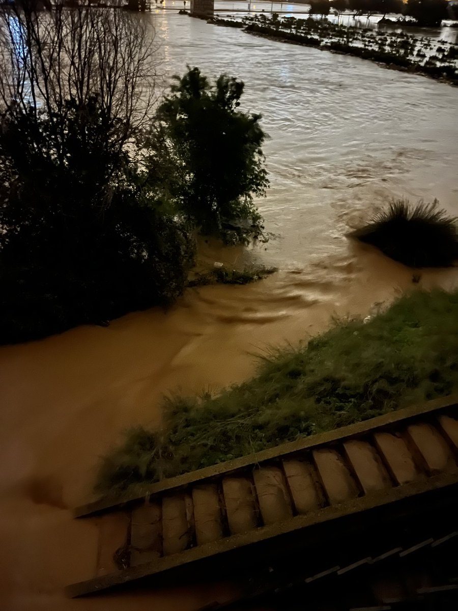 amb musk d capitoste d açò, se'm varen llevar les ganes d estar x ací. ara aguaite després de quedar-me atrapat en la V31. aquest accés al pont de sedaví ens va salvar al meu compare tormos i a mi #MazonDimissió #Dana #NofacesNiuAlaVoradelRiu