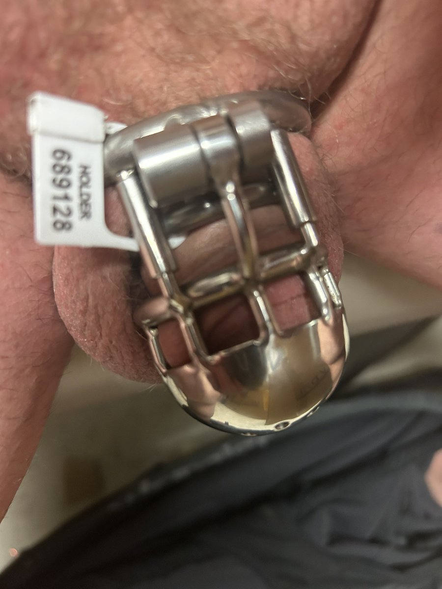 goddess_subby's tweet photo. Nov. 7th, 38 days he’s starting to get ancy so I upped to a more secure PA cage and a lockout tag!😈 https://t.co/fFPMWLRHQf