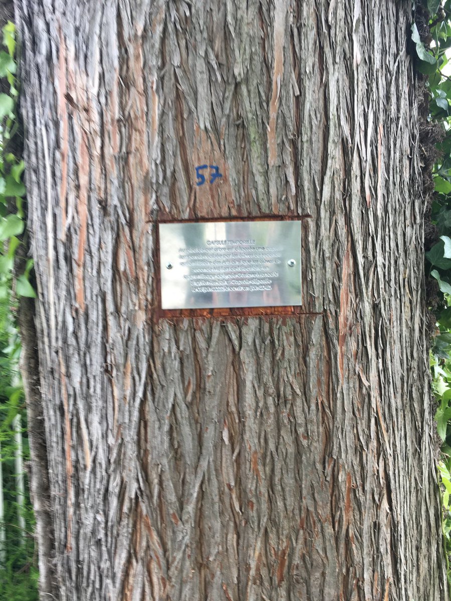 hdamonod's tweet photo. Ce projet permet de découvrir l’existence d’une capsule temporelle et prolonge les travaux d’archéologues ayant travaillé sur le même site il y a deux ans. https://t.co/97wmfSQaXi