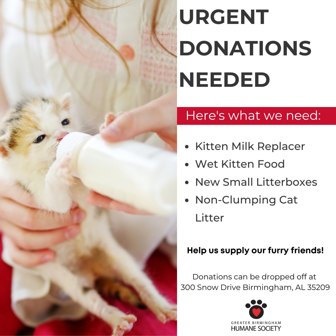 TheGBHS's tweet photo. Our shelter animals need your help! We’re running low on supplies for our tiniest of kittens &amp; the sweetest of pups. You can drop off supplies at our shelter located at 300 Snow Drive or order from our Amazon wishlist https://t.co/SgQSZcEwfo for delivery straight to us. Thank you https://t.co/0TFYHOMEaP
