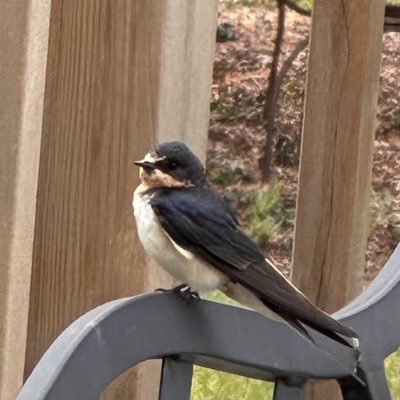 molosgatos's tweet photo. #NewProfilePic https://t.co/uyUrUSv5Uz