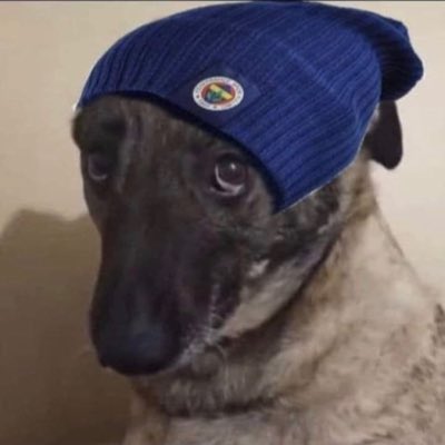 ozansygn's tweet photo. #YeniProfilResmi https://t.co/nXMFFFzxs0