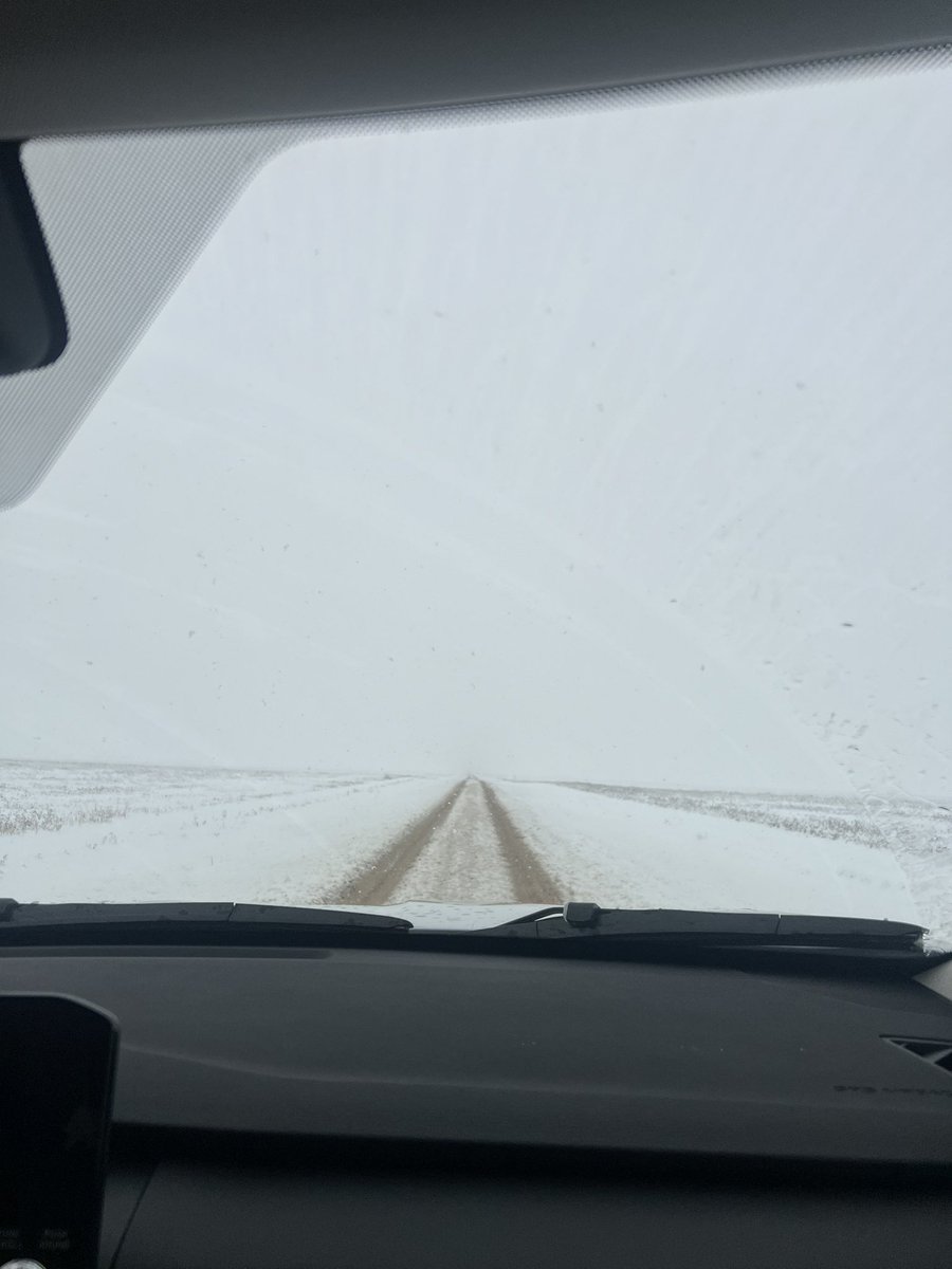 kaylamye's tweet photo. Close call for us today 🙃 https://t.co/MLmTy4xKBO