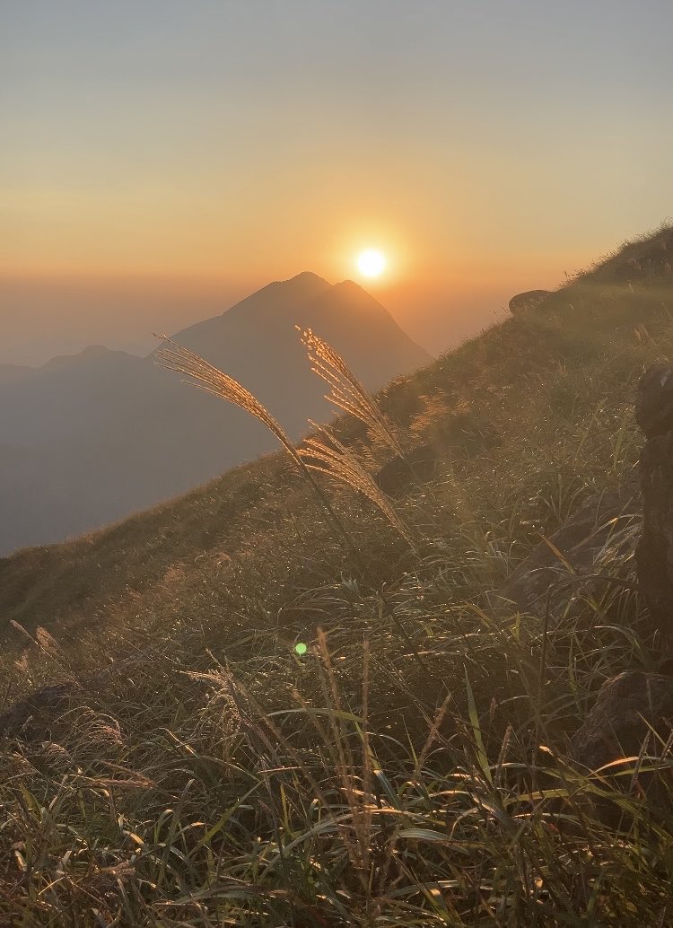 يارب أنت السلام ومنك السلام ،،، سلم قلوبنا من أذى الدنيا وحزن الأيام ،،، يارب إن كان في انفسنا انكساراً فلا جابر له سواك،،، وإن لامس قلوبنا شيء من أنين فإنه لا يعلم بحالنا إلا أنت ،،، فإجعل لنا من كل ضيق مخرجاً ،،، يارب معجزة من عندك تغير الأقدار ،،، وتحقق الأماني وتسعدنا