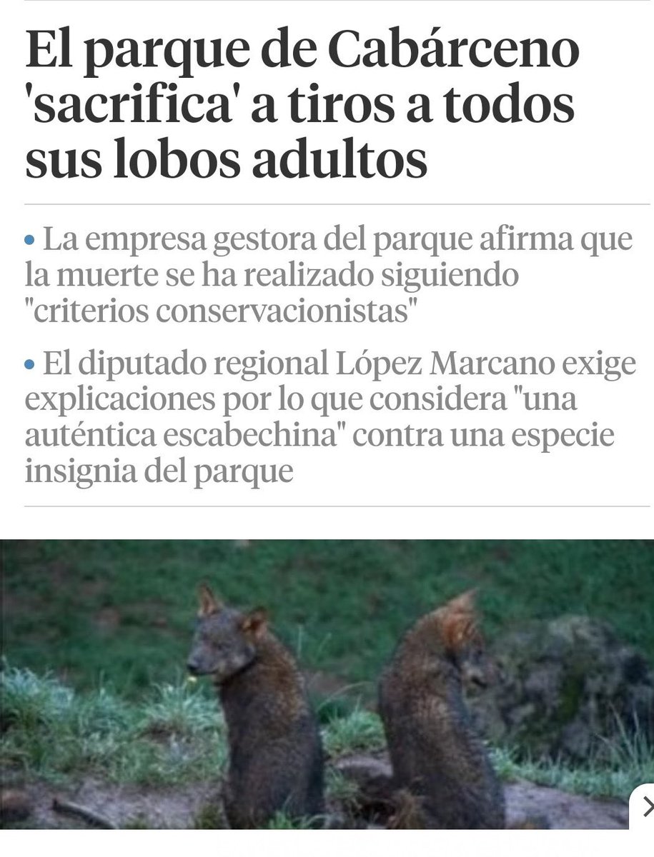 eyecatt's tweet photo. Localizado el animal agazapado en un árbol, eligen matarlo en vez de sedarlo… Otra vez Cabárceno matando a los animales de su ZOO. Hace unos años, mataron a tiros a todos los lobos. Si vais a Cabárceno, estaréis fomentando todo esto https://t.co/AxbH6VFZN3