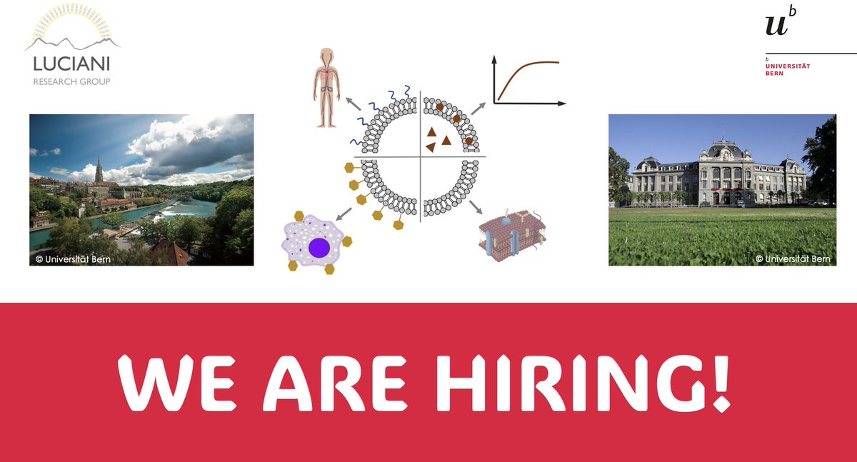 Luciani Lab (@luciani_lab) on Twitter photo ‼️WE ARE HIRING‼️Do you have previous experience with lipid-based systems and a strong background in physico-chemical characterizations? Interested in working with experimental models of IBD? Then apply for a PhD in Pharmaceutical Technology <a href="/DCBPunibern/">DCBPunibern</a> <a href="/unibern/">Universität Bern</a>! RT appreciated ‼️WE ARE HIRING‼️Do you have previous experience with lipid-based systems and a strong background in physico-chemical characterizations? Interested in working with experimental models of IBD? Then apply for a PhD in Pharmaceutical Technology <a href="/DCBPunibern/">DCBPunibern</a> <a href="/unibern/">Universität Bern</a>! RT appreciated