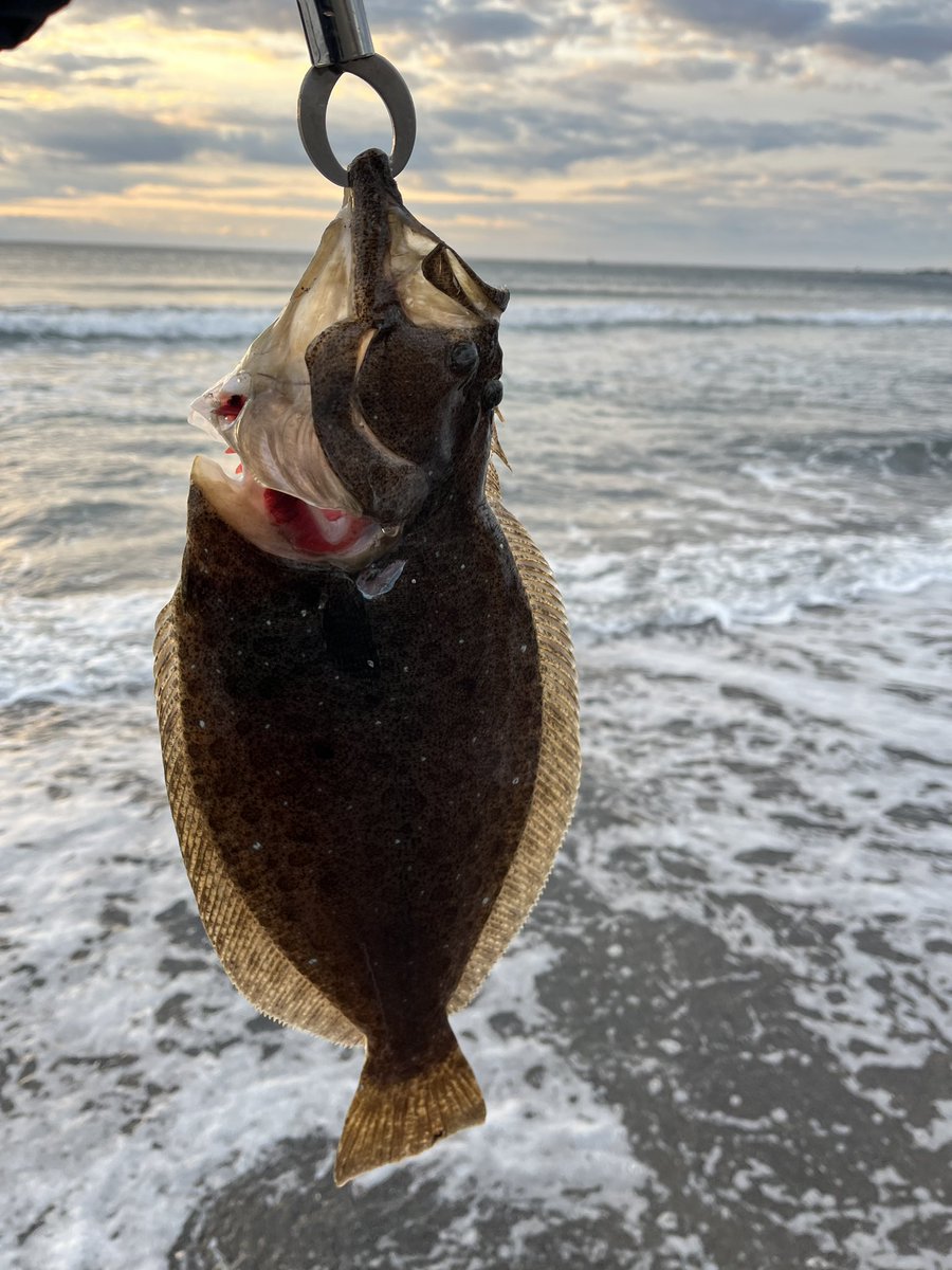 TAISHIMURAKAMI1's tweet photo. 本日は、約2年ぶりのサーフ🎣
鴨川でヒラメ♪ https://t.co/CXXLdFfoQn