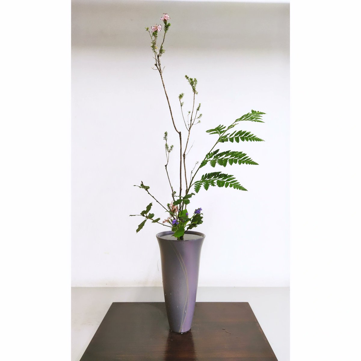 Mi ikebana de hoy stilo libre jiyuka  今日の私の生け花です。自由花です。  <a href="/ikenobo550/">いけばな池坊【公式】</a>  #生け花 #池坊 <a href="/Carmen_Lomana/">Carmen Lomana</a> <a href="/FIONAFERRER/">Fiona Ferrer-Leoni</a> <a href="/rossydpalma/">rossydepalma</a> <a href="/asanact/">Antonia San Juan</a> <a href="/BisilaBokoko/">Bisila Bokoko</a> <a href="/shiranmaki/">紫蘭まき</a>
