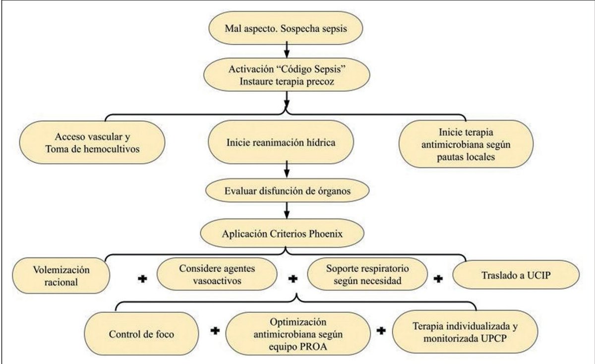 revinf.cl/index.php/revi…
Pensar en sepsis es la clave, actuar acorde... y también usar Phoenix Criteria