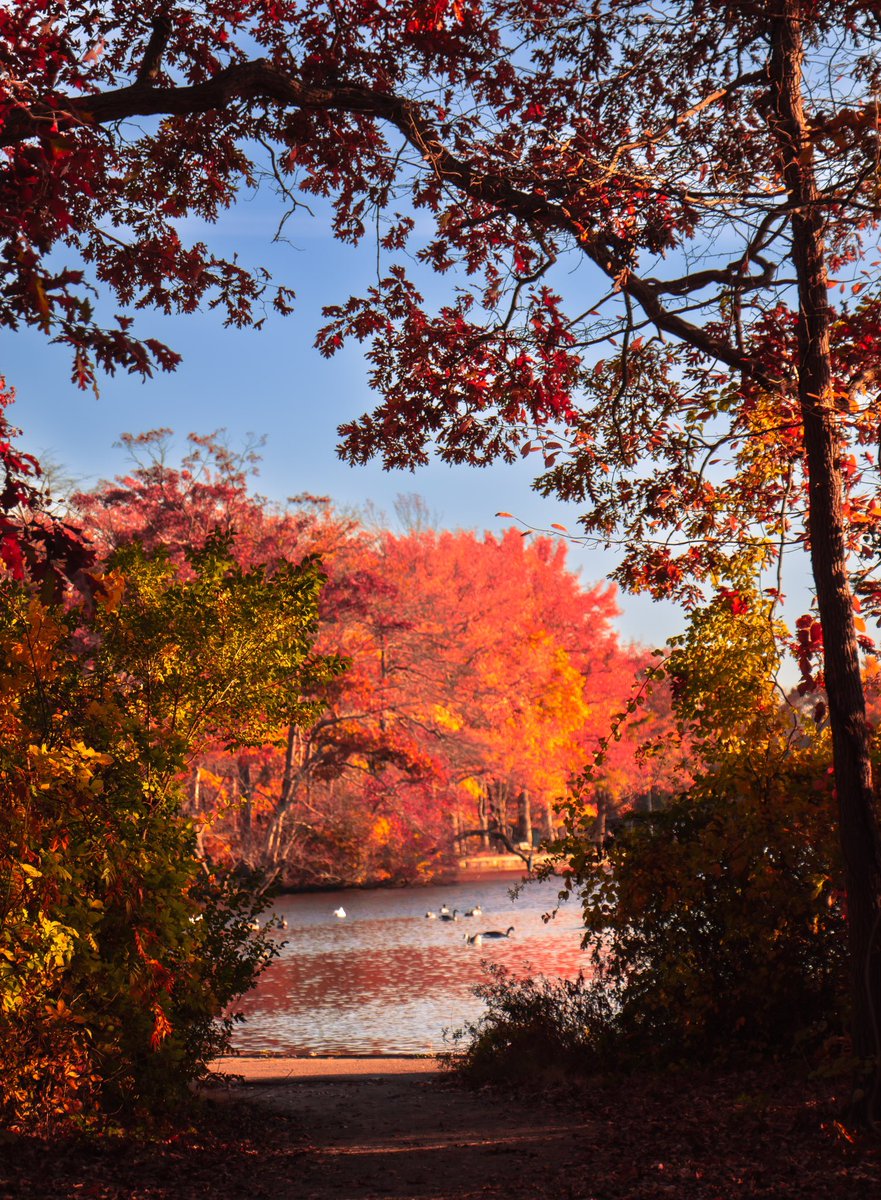 Ang_XoXo17's tweet image. Fall on Long Island 🍁🔥