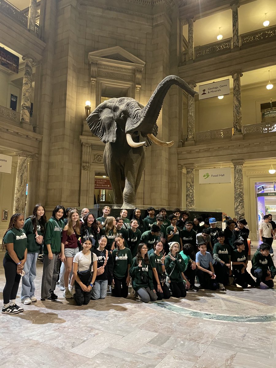 So many things to discover at the Museum of Natural History. #NoviDC24