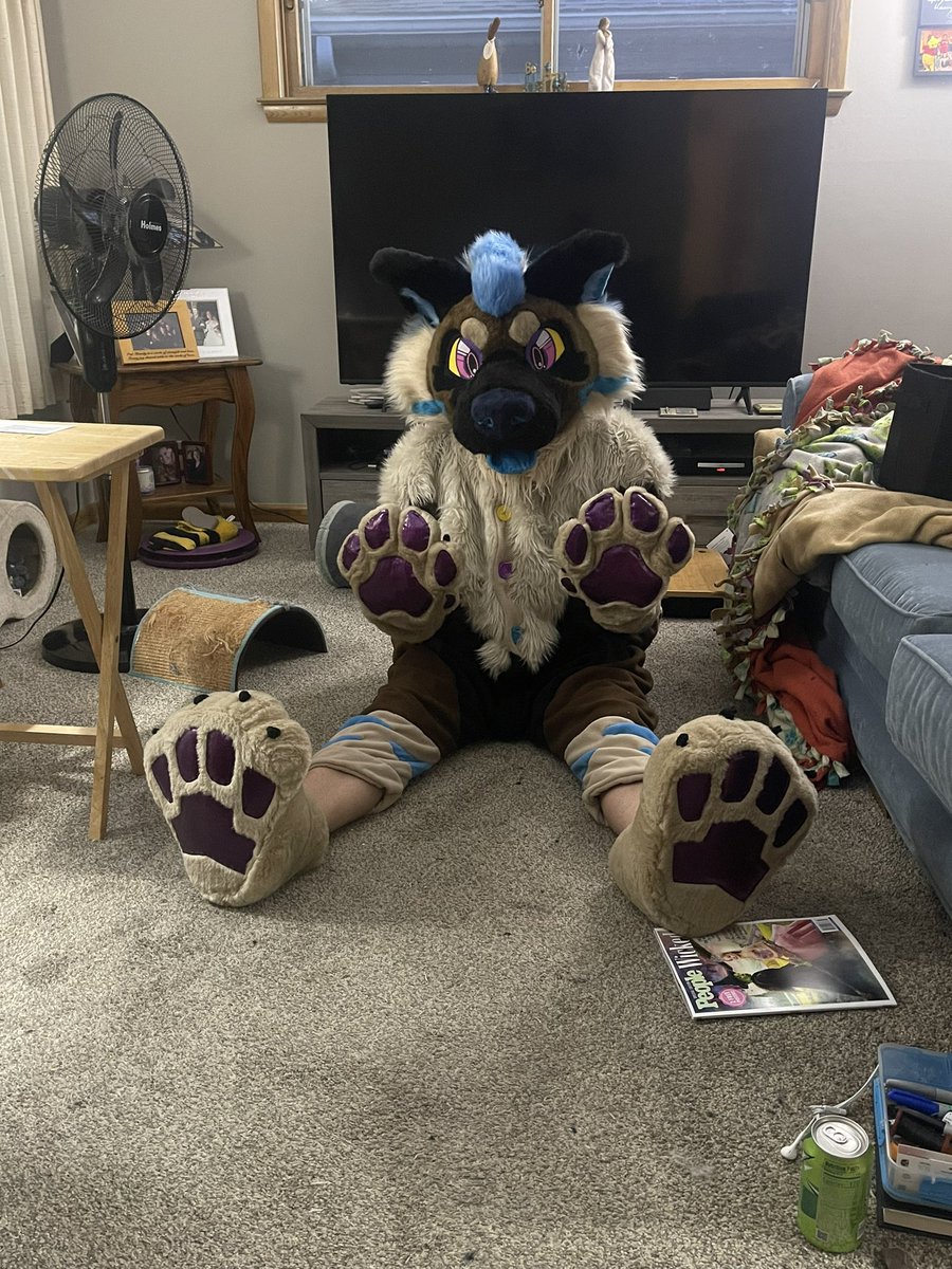 SunlitLioness's tweet image. 🐠🐡@AquatiFur weekend!!!!! I’ll in either Kairi (fullsuit) or Bean(partial w/ kigu) this year. I will also have this backpack with me. Come get pins and stickers!! 🐟🐠

#furryfandom #furrycomunity #wisconsindells