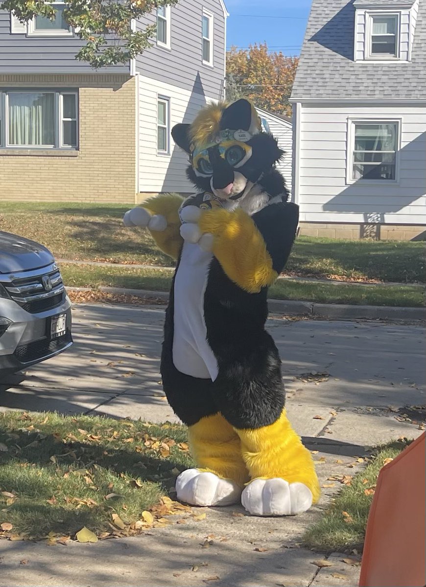 SunlitLioness's tweet image. 🐠🐡@AquatiFur weekend!!!!! I’ll in either Kairi (fullsuit) or Bean(partial w/ kigu) this year. I will also have this backpack with me. Come get pins and stickers!! 🐟🐠

#furryfandom #furrycomunity #wisconsindells