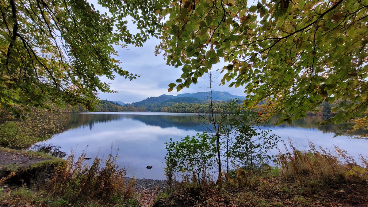 🌈🌳🐾🍂🍄

We recently enjoyed 2024's yearly pilgrimage to Perthshire where the Autumn displays were quite stunning and <a href="/enchantforest/">The Enchanted Forest</a> really felt quite magical! 💜💙💚💛🧡❤️
#pitlochry #ForestSchoolAdventures #NatureExploration