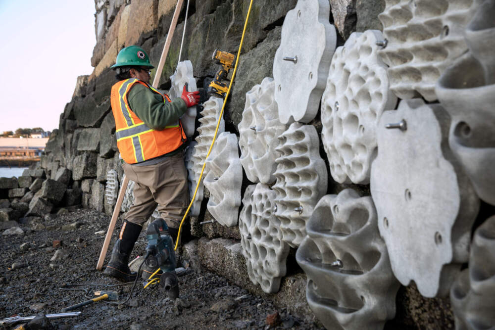 Boston Harbor Now tweet media
