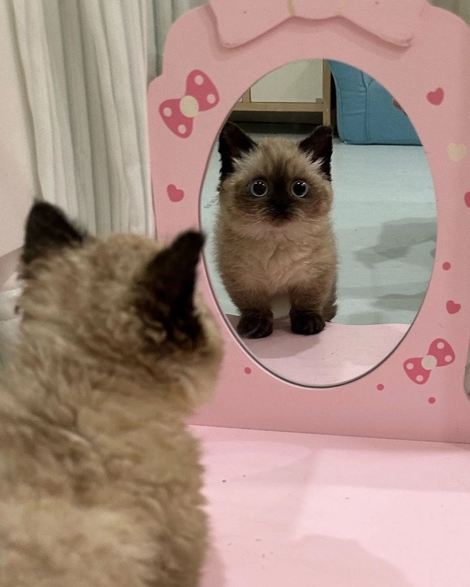 She sees you