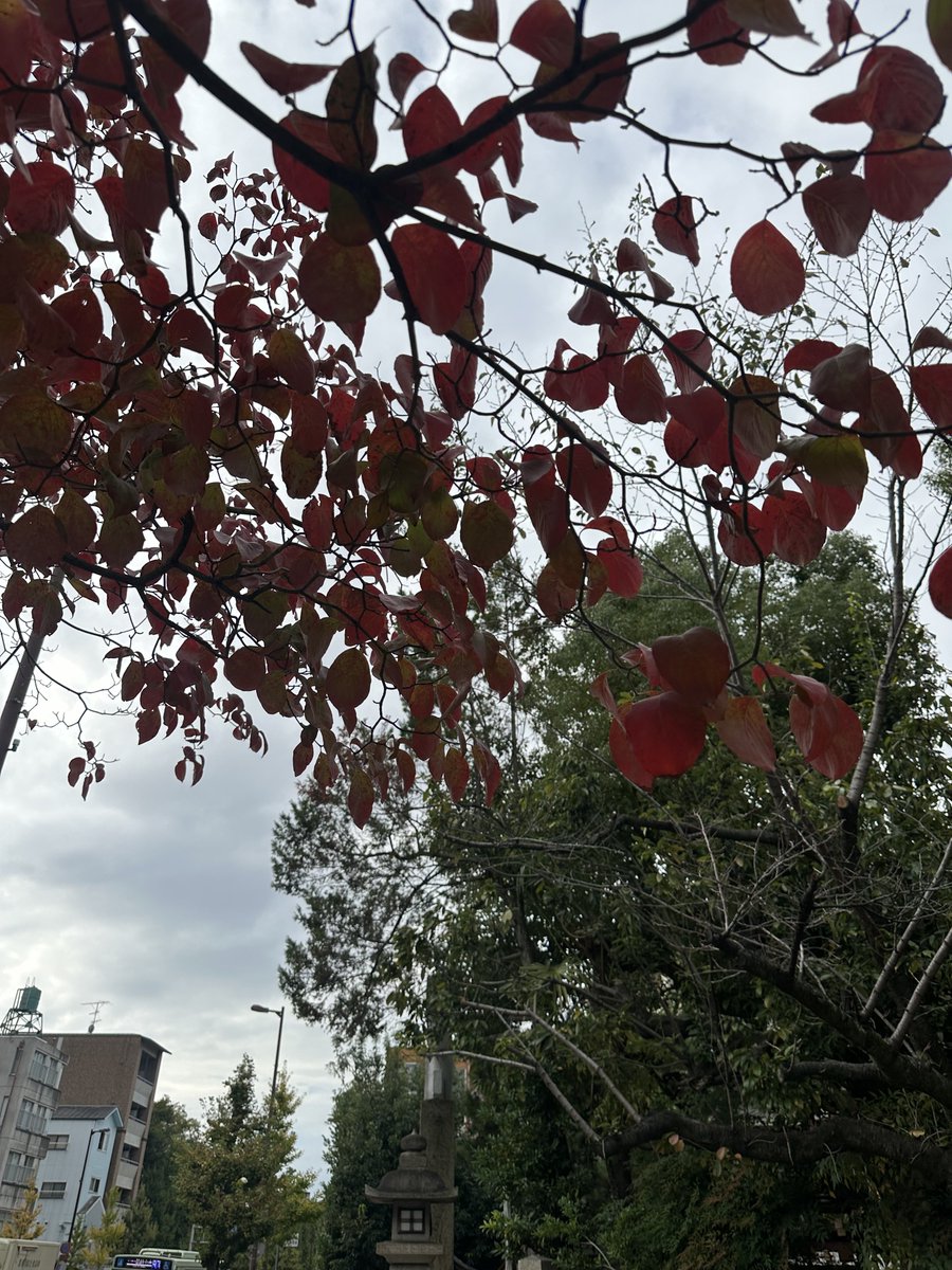 Simakaze_202010's tweet photo. おはようございます☀
寒いですね..❄️ https://t.co/DnM5Ar8RyF