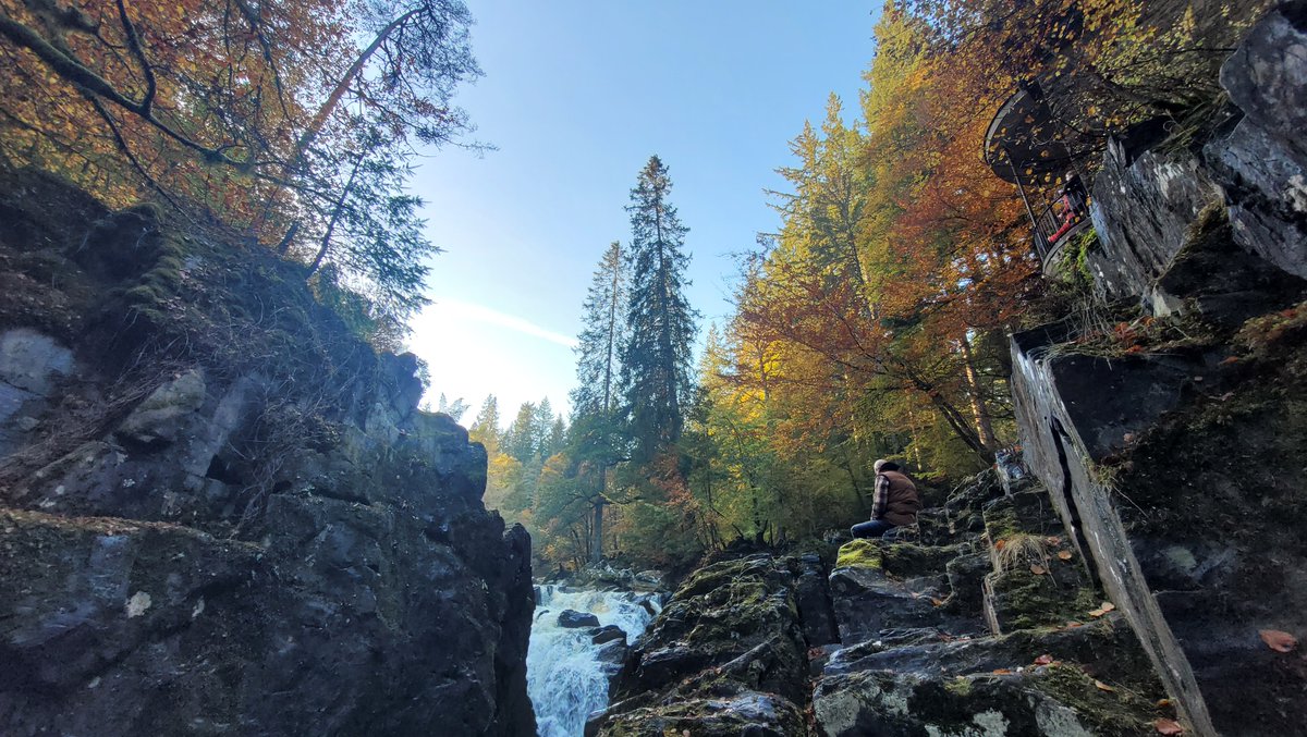 Another beautiful moment in nature captured during our recent Perthshire visit. We love all that nature offers us, especially these moments where we can find peace and calmness in a busy world. 🌳

We hope all our WW friends have a relaxing weekend ahead. 🧡
#perthshire #scotland