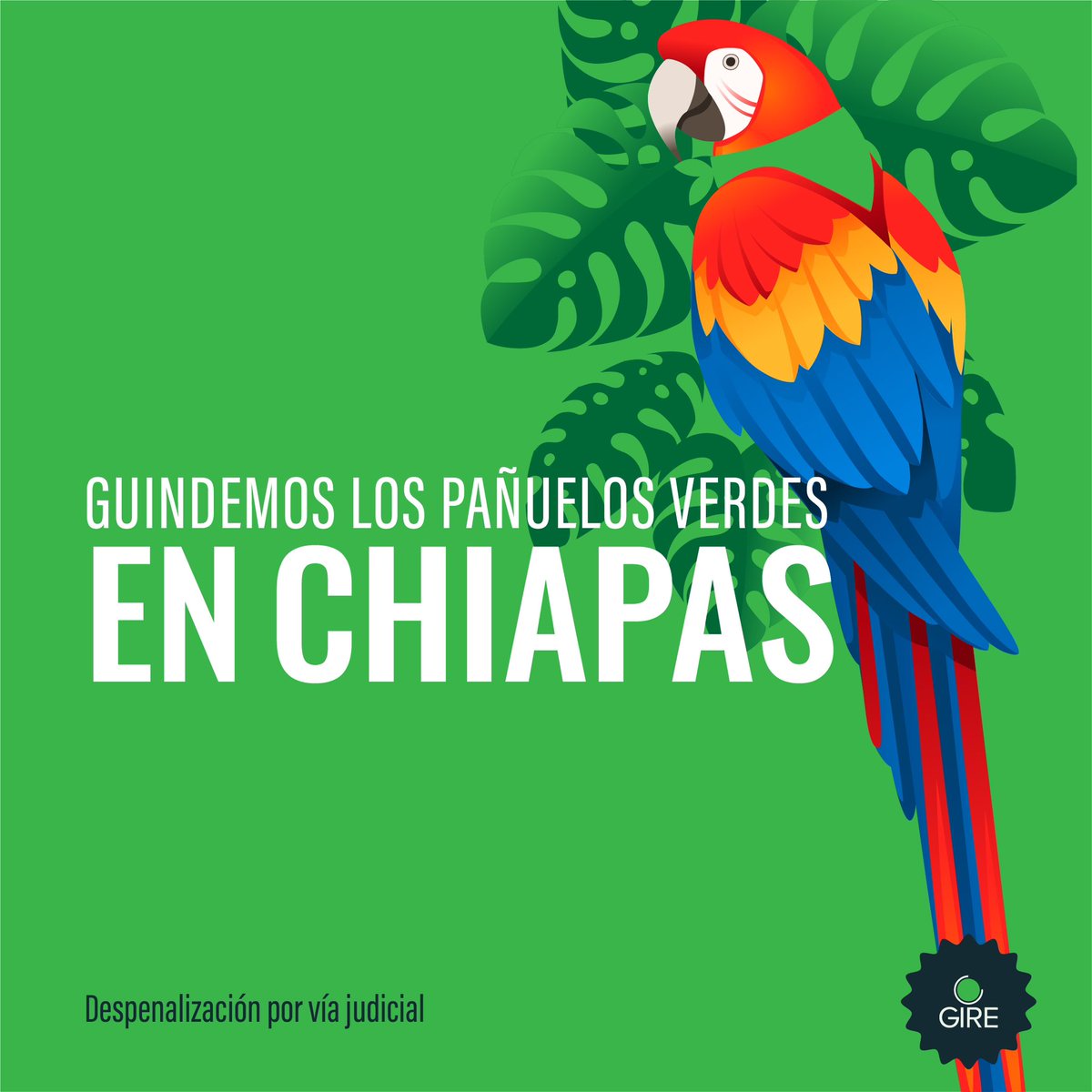 GIRE_mx's tweet photo. ¡La Marea Verde es imparable! 🌊💚 La SCJN ordenó al Congreso de #Chiapas despenalizar el #aborto voluntario.  #AbortoLegalChiapas https://t.co/cYnsxQw5vD
