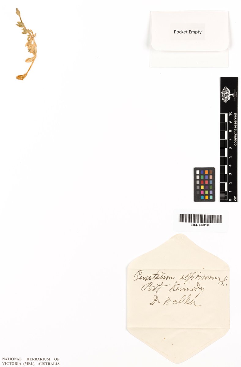 RBGV Science tweet media