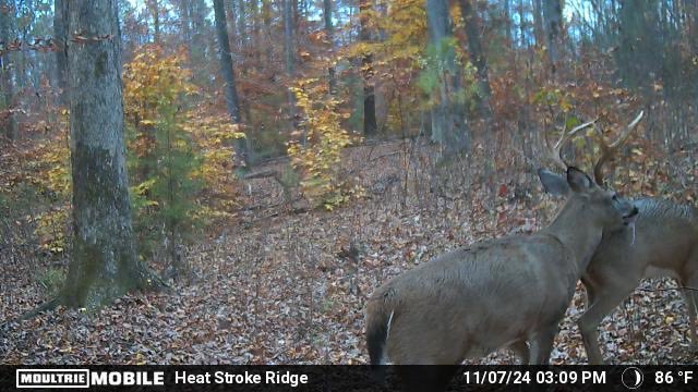 KooterBrownTX (@kooterbrown321) on Twitter photo 