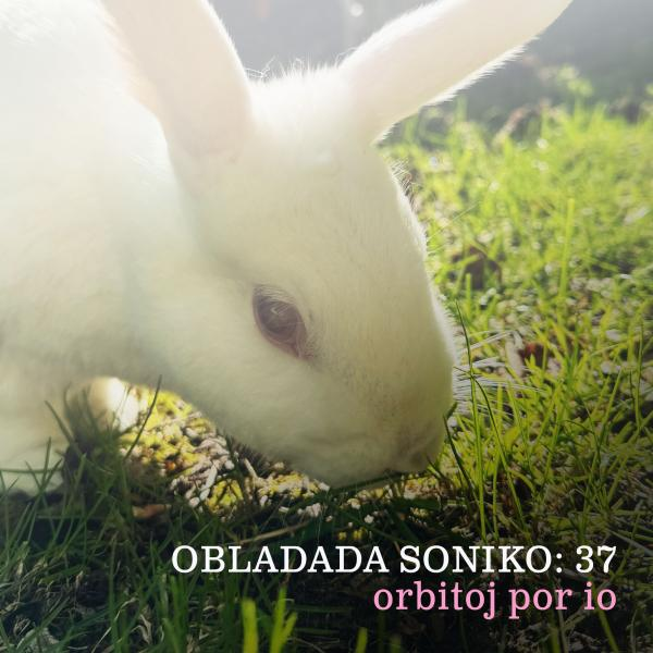 CAMP Radio tweet media