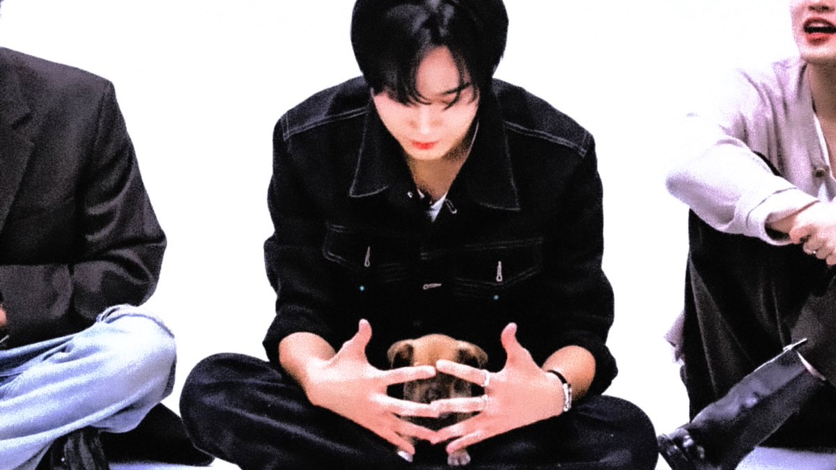 sevenpixells's tweet photo. 🐾 https://t.co/whoVAwNT0H