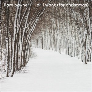 So are we starting a campaign to get Liam Payne’s song All I Want (for Christmas) to Xmas number 1 this year or what? #LiamPayne #AllIWant #LiamPayneXmasNo1 #LiamPayneAllIWant  music.apple.com/gb/album/all-i…