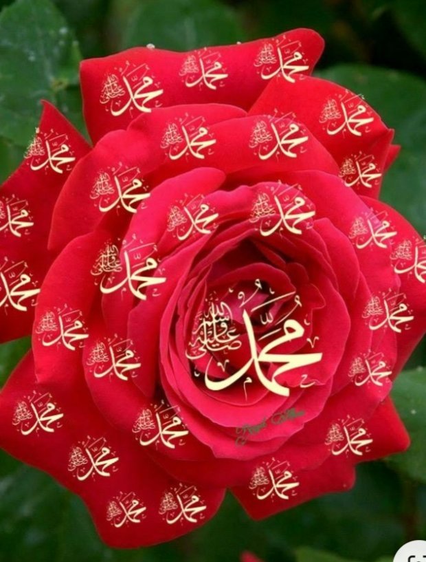 " زيِّنو ليلة الجمعة ، بالصلاة على النَّبِيِّ ﷺ ♡゙
🌹 ﷺ: وأَكْثِرُوا من الصَّلاَةَ عَلَيَّ فيها ، 
      .....  فَمَنْ فَعَلَ ذَلِكَ كُنْتُ لَهُ ........
         شَهِيدًا، .. أوَ شَافِعًا يَوْمَ ...الْقِيَامَةِ».