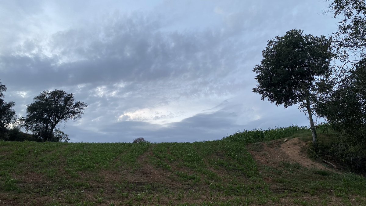 panenko4's tweet image. Octubre’24 a Palau Solità i Plegamans #Stormhour @StormHour