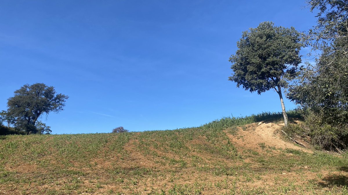 panenko4's tweet image. Octubre’24 a Palau Solità i Plegamans #Stormhour @StormHour